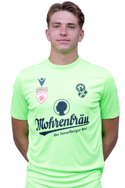 Dominik Samardzija