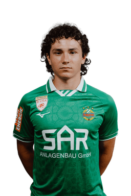Fabian Silber